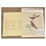 "Cardinal" By Ray Harm 17"X20"