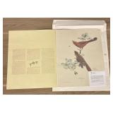 'Cardinal' By Ray Harm 17'X20'