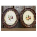 Pair of Antique Botanical Art Pieces Features Hand