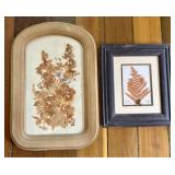 Virginia Stibbe, Two Framed Botanical Mixed Media