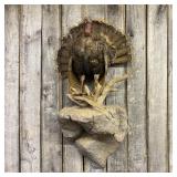 Full-Body Wild Turkey Taxidermy Wall Mount on Faux