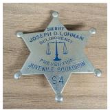 Two Illinois Municipal and Law Enforcement Badges