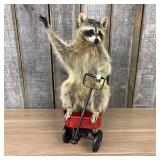 Novelty Taxidermy Raccoon Seated in Miniature Red