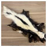 Tanned Striped Skunk Pelt with Head and Claws