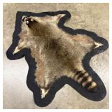 Raccoon Taxidermy Skin Rug with Black Felt Backing