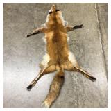 Full-Bodied Red Fox Pelt with Head and Paws