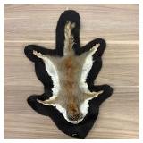 Squirrel Pelt Flat Rug Mount on Felt Backing