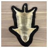 Ground Squirrel Taxidermy Rug Mount on Felt Backin