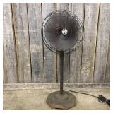 Belknap Blue Grass Pedestal Floor Fan