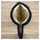 North American Beaver Pelt Wall Rug