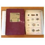National Audubon Society Nature Program Vintage Fo