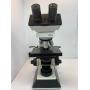 Labomed CXR2 Compound Microscope