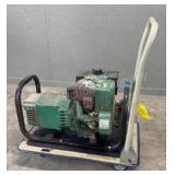 Tecumseh 10HP Generator- 5000W - Runs