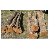 5 10ft Hedge Posts 16-28in Across