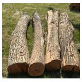 4 10ft Hedge Posts Avg 13in Across