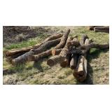 8 10ft Hedge Posts Avg 8-10in Across