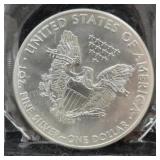2013 American Eagle Silver Dollar