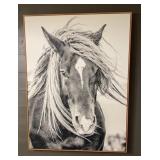 40in Horse Canvas Picture
