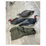 Turkeys