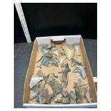 Shark teeth