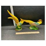 Birds