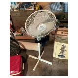 Fan