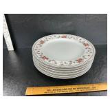 6 plates