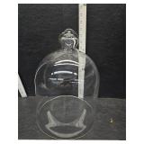 Glass Cloche Glass Cloche