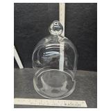 Glass cloche Glass cloche