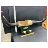 Bull horns