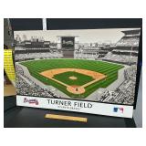 Turner Field picture