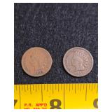 1883 & 1907 Indian Head pennies