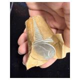 20ï¿½1964 silver Kennedy half-dollars