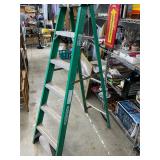 6ï¿½ Werner Ladder