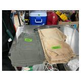 Carhartt pants and shorts