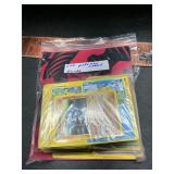 200 Pokï¿½mon cards and a guide