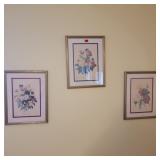 6 Framed Pictures