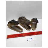3- taxidermy alligator heads