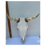 19ï¿½ Bull Skull & horns