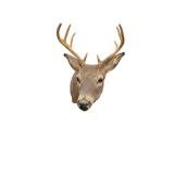 Wall mount