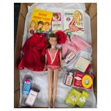 Skipper doll and accessories