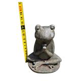 Concrete frog