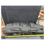Gun bag and 2 clips