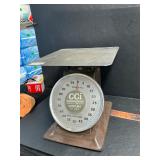 Scale