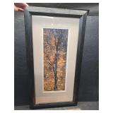Rain Tree signed JA Harmon