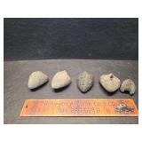 Fossils