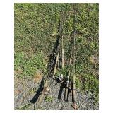 Rods and reels