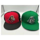 2 SnapBack hats