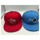 2 SnapBack hats