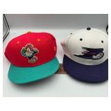2 SnapBack hats